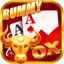 royally rummy all